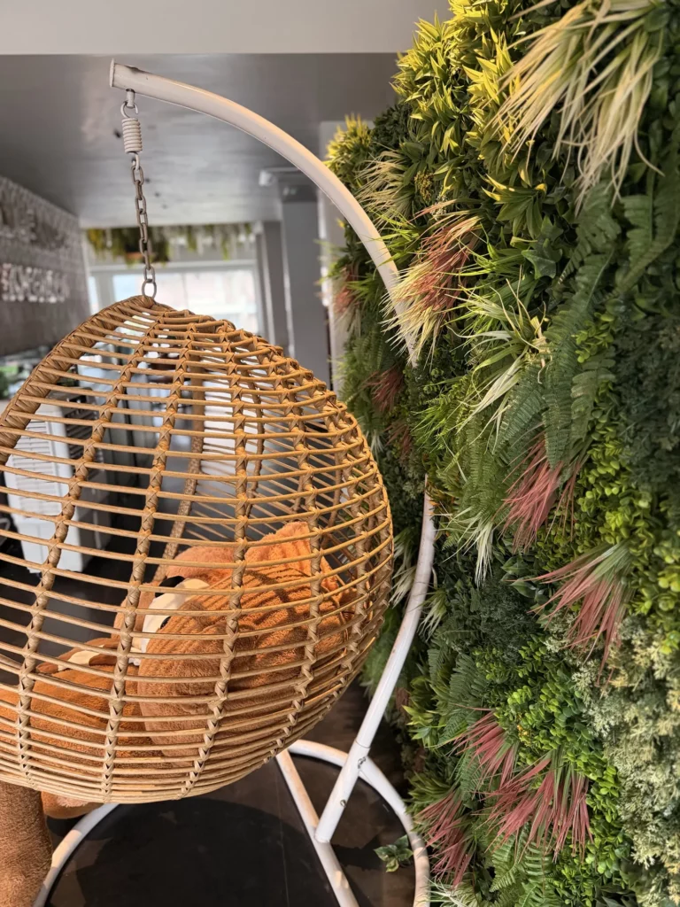 Poltrona sospesa in rattan davanti alla parete verde